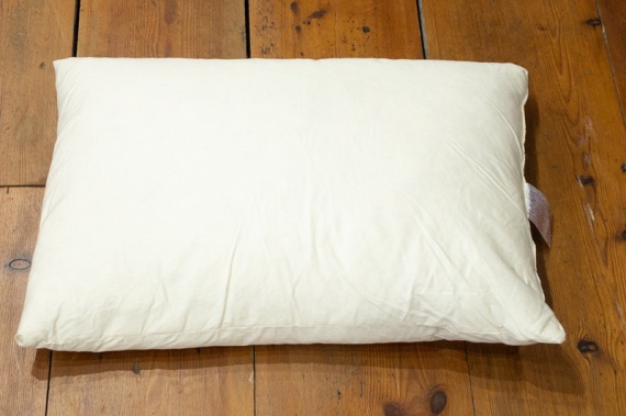 Feather Filler Bolster Size 6 (recommended size for this cover)